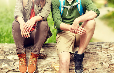 Image showing close up of couple resting on tree trunk outdoors