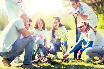 Image showing group of volunteers planting tree in park