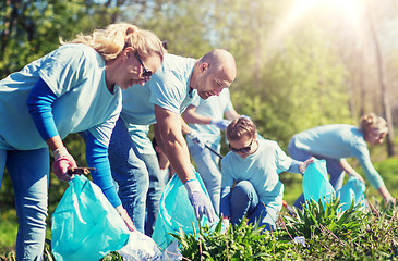 Image showing volunteers with garbage bags cleaning park area