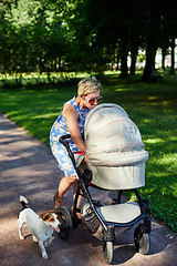 Image showing Woman walking with dog and baby carriage