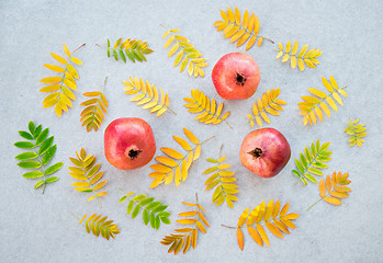 Image showing Pomegranates and autumn ashberry tree leaves