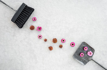 Image showing Pink flowers, brush and dustpan on concrete floor