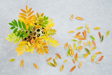 Image showing Colorful ashberry tree leaves in a golden lotus vase