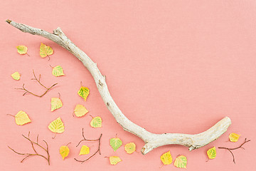 Image showing Pink canvas with autumn leaves and dry tree branch