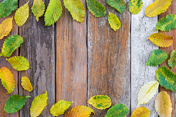 Image showing Frame made of bright autumn leaves on old wood background