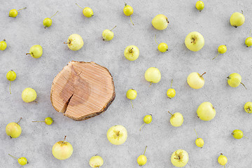 Image showing Wild apples and apple tree stump with copy space