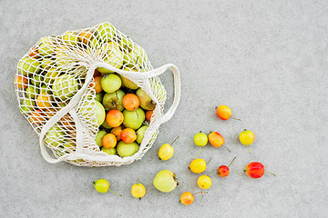 Image showing Mesh bag full of apples from the garden