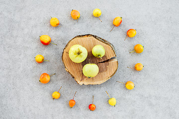 Image showing Apple tree stump and wild apples on concrete background