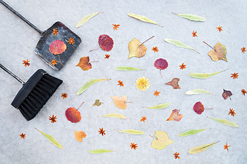 Image showing Autumn leaves, brush and dustpan on concrete background