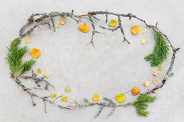 Image showing Frame made of autumn leaves and mossy tree branches