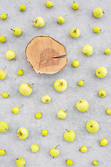 Image showing Wild apples and apple tree stump with space for text