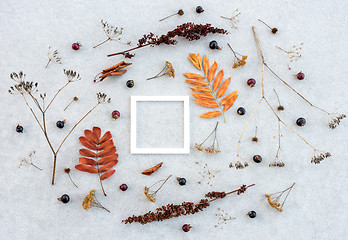 Image showing White frame and dry autumn plants on concrete background