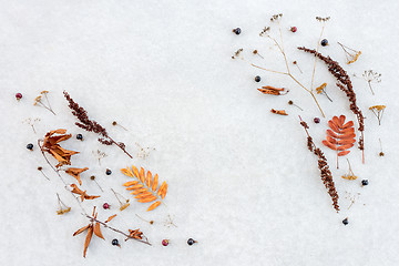Image showing Autumn flat lay made of simple dry plants