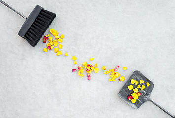 Image showing Yellow rose petals, brush and dustpan on concrete floor