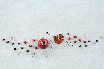 Image showing Autumn decor with ceramic vase and dry plants