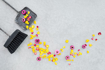 Image showing Sweeping away dry flowers and rose petals in the garden patio