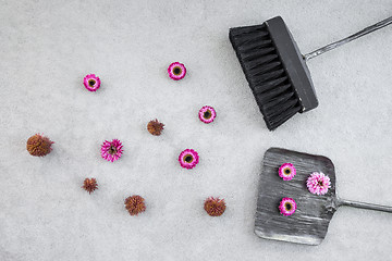 Image showing Dustpan, brush and pink flowers on concrete floor