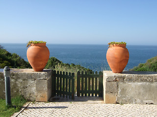 Image showing Two flowerpots