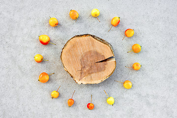 Image showing Apple tree stump with copy space surrounded by cherry apples