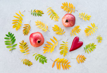 Image showing Pomegranates and golden ashberry tree leaves