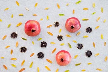 Image showing Autumn fruits and colorful ashberry tree leaves