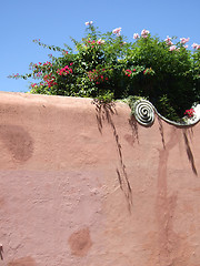 Image showing Wall with flowers