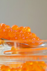 Image showing Macro shot of red caviar on jar