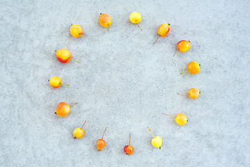 Image showing Circle of wild cherry apples on concrete background