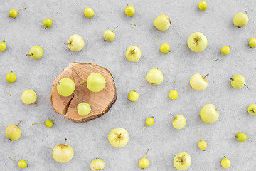 Image showing Wild apples and apple tree stump on concrete background