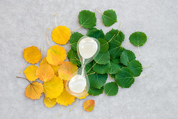 Image showing Sand clock on summer and autumn leaves