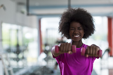 Image showing woman working out in a crossfit gym with dumbbells