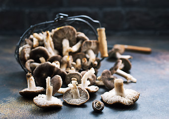 Image showing mushrooms