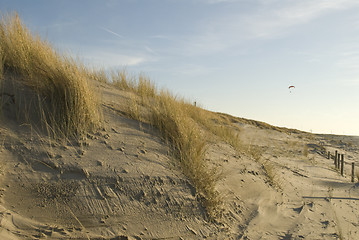 Image showing dunes