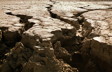 Image showing Cracked earth close-up