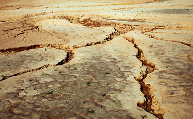 Image showing Cracked earth close-up