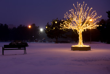 Image showing Gold lights Christmas Tree