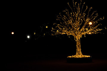 Image showing Gold lights Christmas Tree
