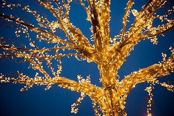 Image showing Gold lights Christmas Tree