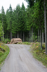 Image showing Wood pile by gravel roadside