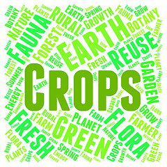 Image showing Crops Word Means Plant Grains And Yield