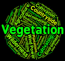 Image showing Vegetation Word Indicates Plant Life And Botany