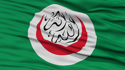 Image showing Closeup OIC Flag