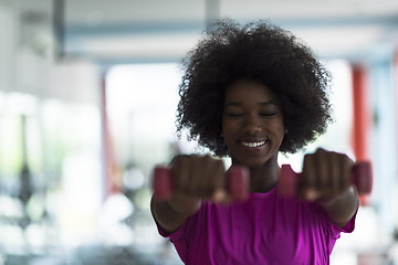 Image showing woman working out in a crossfit gym with dumbbells