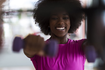 Image showing woman working out in a crossfit gym with dumbbells