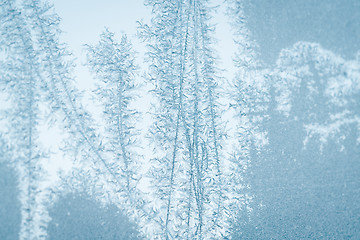 Image showing Frosty patterns on a window in a cyan tone