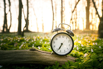 Image showing Alarm clock on a wooden branch in a forest
