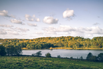 Image showing River in a rural landscape with golden trees