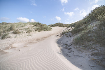 Image showing Sand dune shaped by the wind