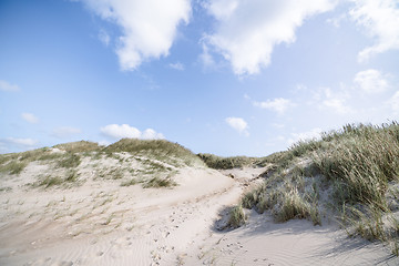 Image showing Beach dunes on a Scandinavian beach in the summer