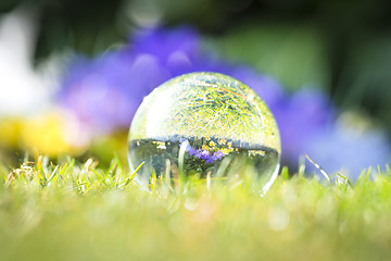 Image showing Large droplet on green grass with a reflection